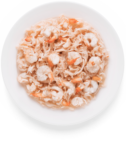 GD-Cat - Chicken Breast & Shrimps - 70g
