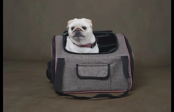 Autostoel Xenophon Taupe