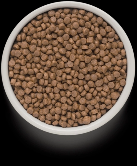 GD-Cat - 4 Meat - Adult Sterilized - 8 Kg