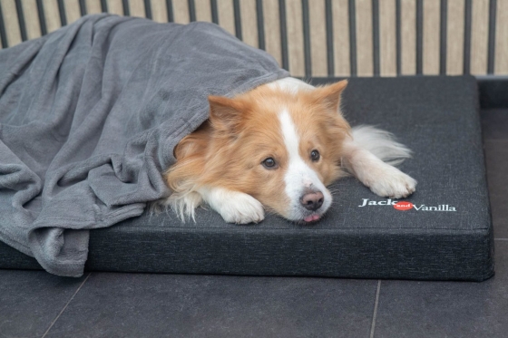 JV Cocoon deken Antraciet- 130cmx170cm