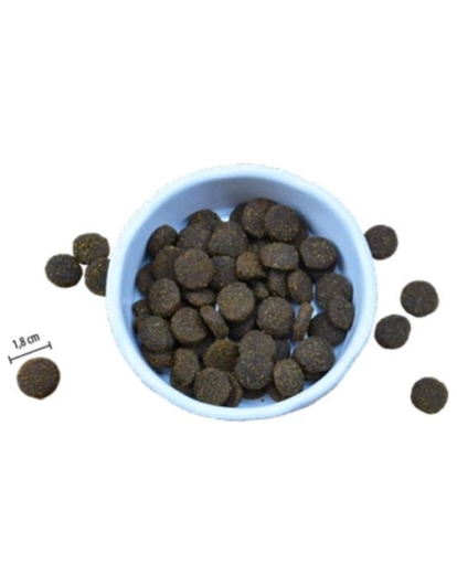 Riverwood Adult Large Breed Duck 12 kg