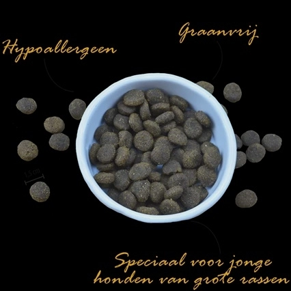 Riverwood Junior Large Breed Duck 2 kg