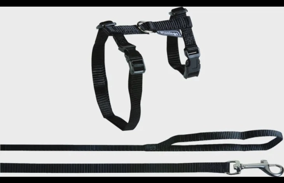 Harnas met looplijn Ela Zwart Large