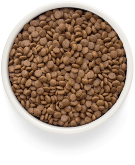 GF-Cat - Fresh Salmon - Adult Sterilized - 2Kg