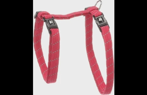 Harnas met looplijn Elza Koraalrood 22/32 x 27/48 x 110