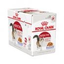 RC Intstinctive Wet 85g