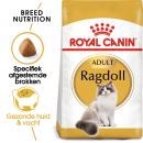 RC Ragdoll 2kg
