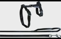 Harnas met looplijn Ela Zwart Large