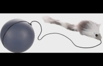 Elektronisch Speelgoed Boula Bal & Muis Donkergrijs