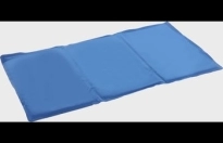 Koelmat Fresk Rechthoekig Blauw L