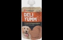 Snack Deli Yumm Pasta met kip & Pindakaas