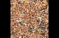 4 seasons zaadmengsel wilde vogels 2,5kg