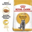 Rc British Shorthair 2kg
