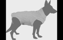 SAFETY BODY GRIJS 64 CM