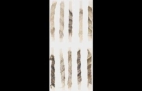 Hapki R'Hide met vishuid 85g