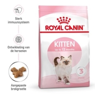 RC Kitten 400g