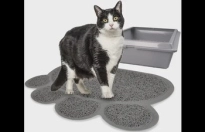 Kattenbakmat Pitou Matti Grijs