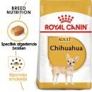 RC Chihuahua 500g