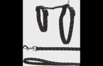 Harnas met looplijn Grote katten Elza Zwart