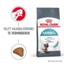 RC Hairball 2kg